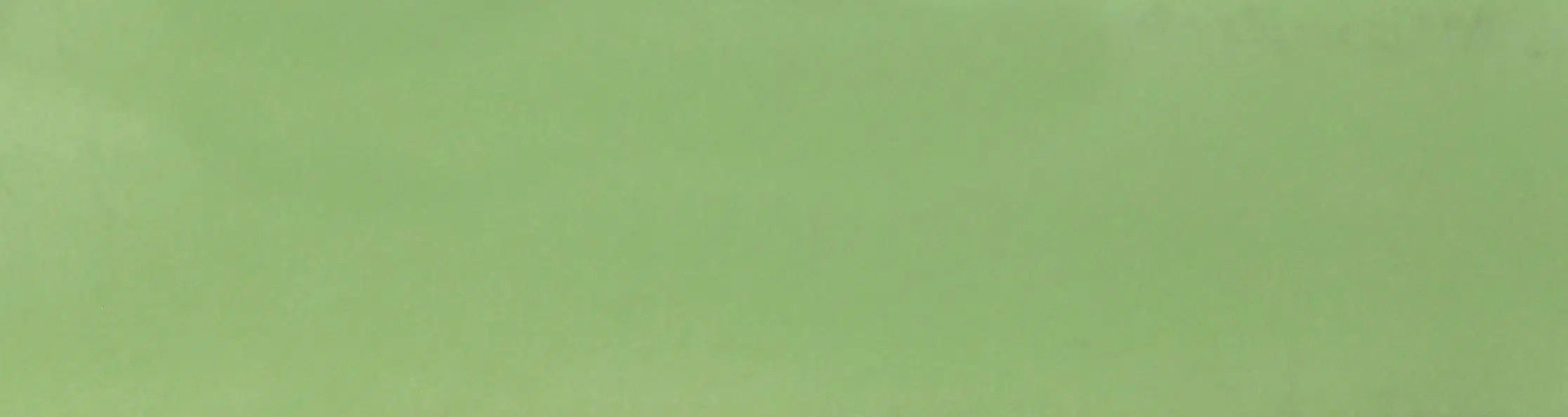 Green 2mm x 30 Metre Leaf Green Edgebanding Roll | EB-44553-H-0