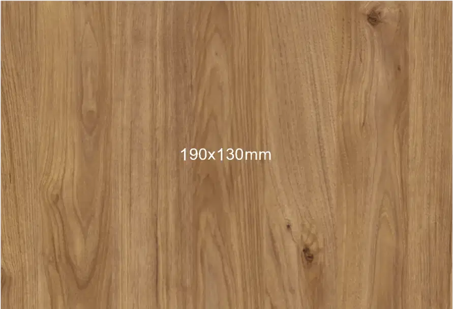 Brown Matte Jackson Hickory Woodgrain HPL sheet (8x4 feet,6 mm) : HPLS-51860-0