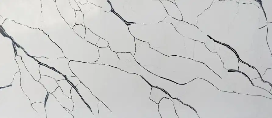 QRS-36029 White Calcutta Tree Black Quartz (3200x1600 mm,20 mm) | Use case in Kitchen, commercial-0