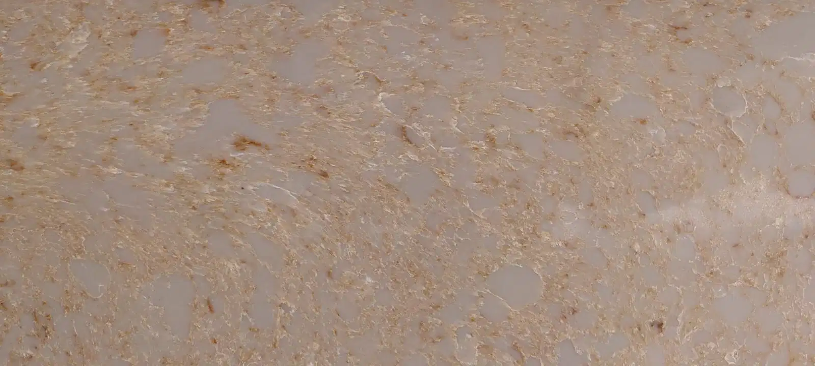 QRS-41147 Beige Reef Gold Quartz (1620x3220 mm,20 mm) | Use case in Kitchen, commercial-0