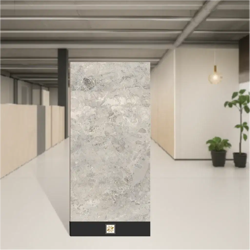 Vitrified Grayscale Grey Endless Matching Matt Rectangular Tiles TL-1264 (4x2 feet | 9 mm)-0