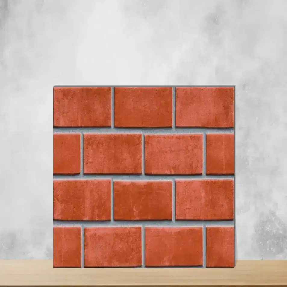 Ceramic Geometric & Abstracts Matt Rectangular Tiles TL-1923 (24x12 inch | 8 mm)-0