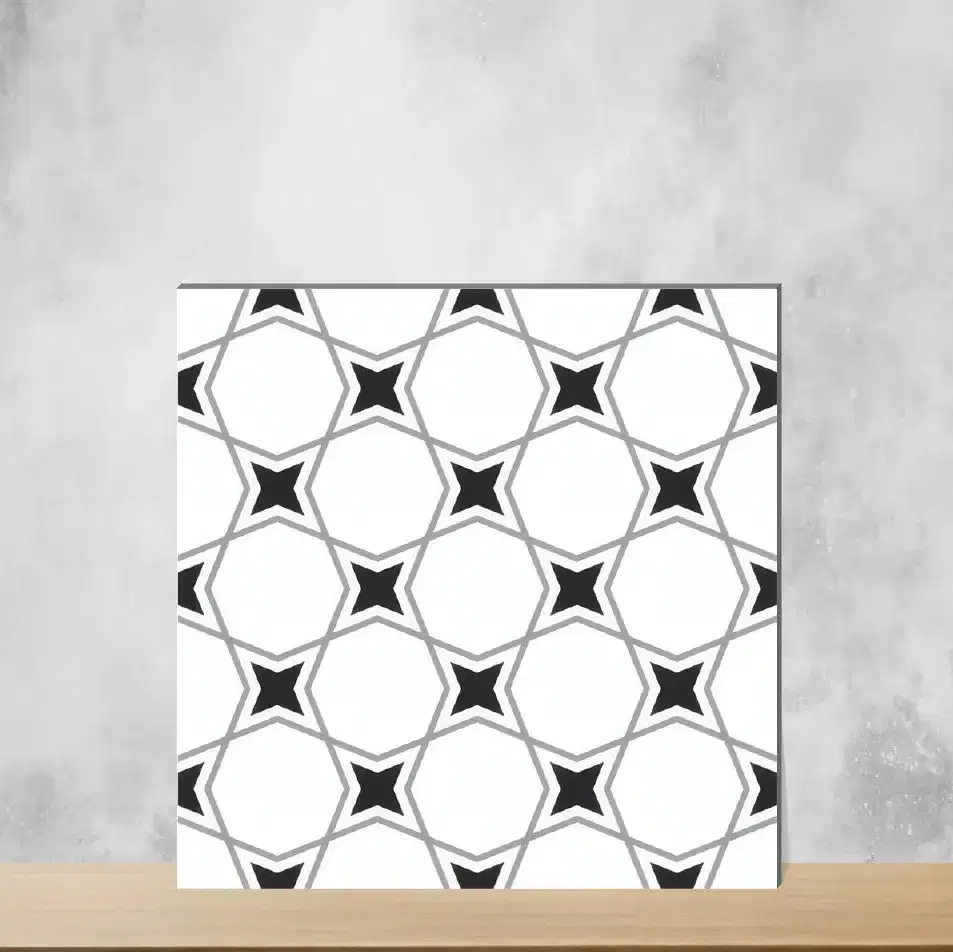 Vitrified Moroccans Matt Square Tiles TL-4969 (12x12 inch | 9 mm)-0