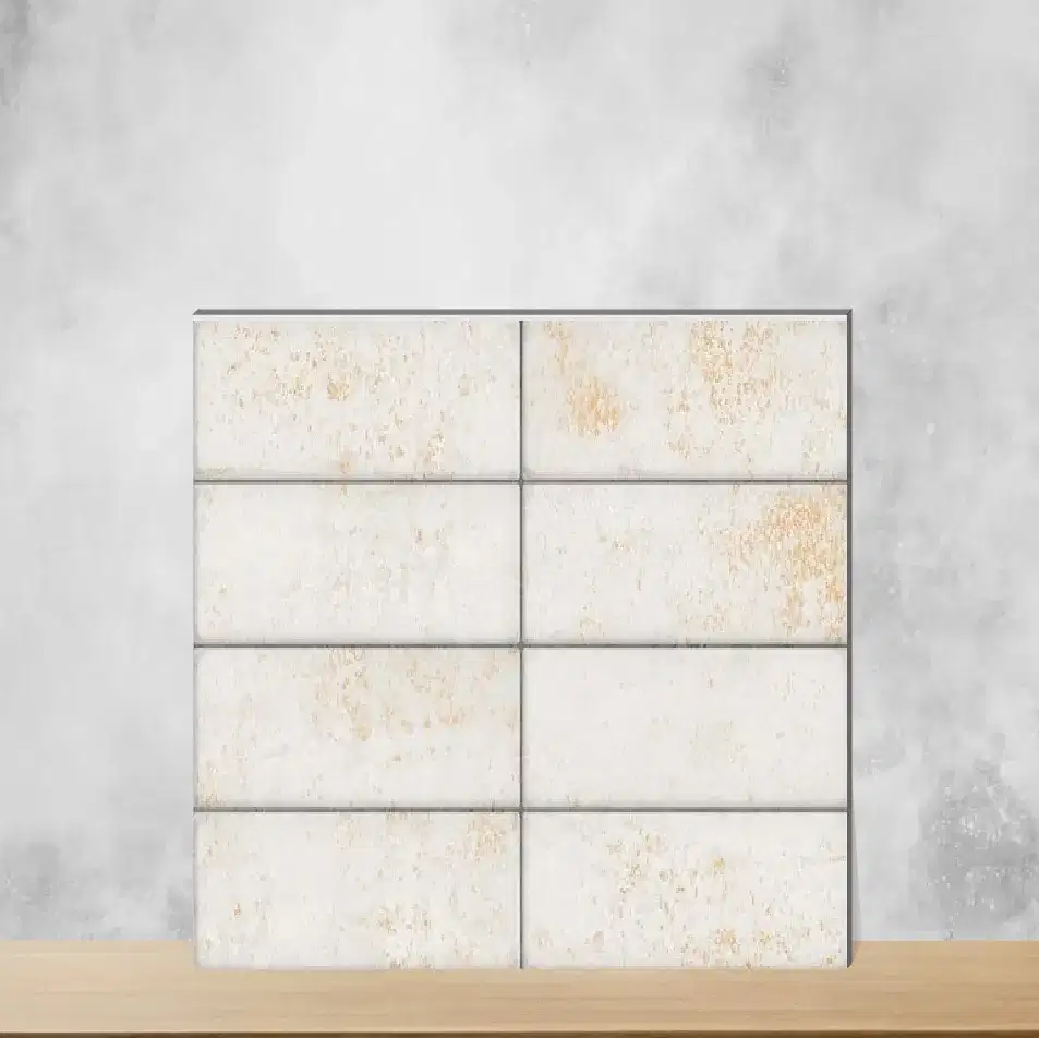 Ceramic Blenco Charm Glossy Rectangular Tiles TL-9858-E (24x12 inch | 9 mm)-0